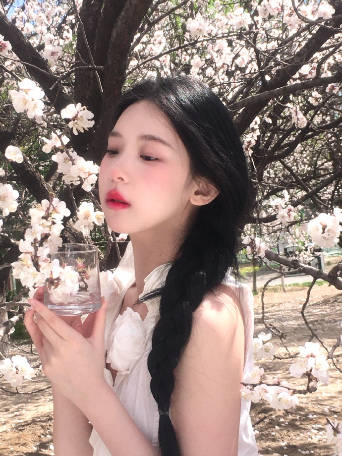 我的团长我的团 封面